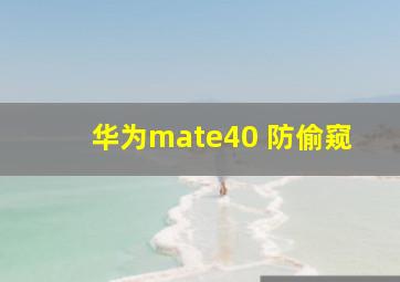 华为mate40 防偷窥